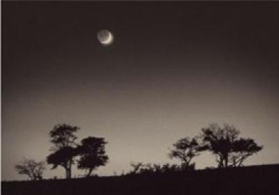 Waxing Moon art print by Paul Kozal