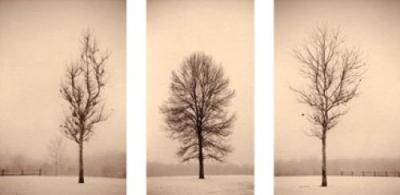 Winterscape art print by Paul Kozal