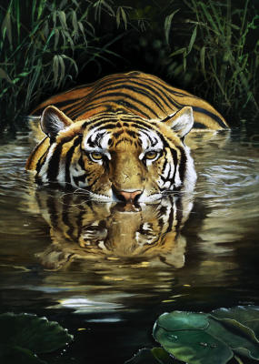 Bamboo art print by Renato Casaro