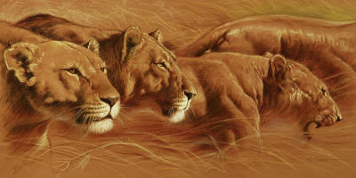 Compact art print by Renato Casaro