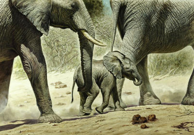 Go baby go art print by Renato Casaro