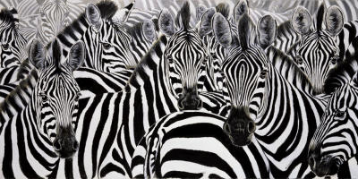Who is who art print by Renato Casaro