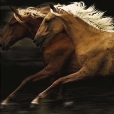 The Dance art print by Tony Stromberg