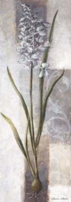 Fressia art print by Vivien White
