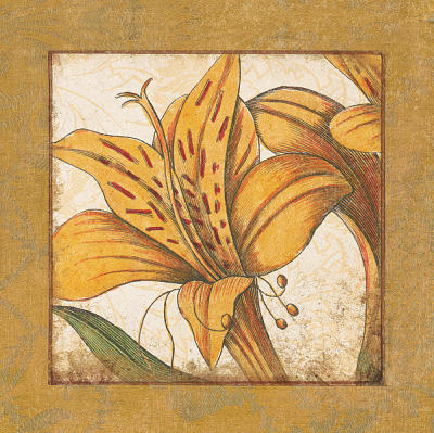 Lily Bloom