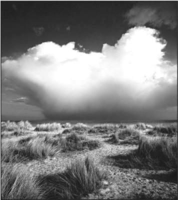 Suffolk Dunes art print by Bill Philip