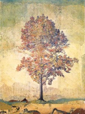Autumn Tree Study No.1 art print by Donald Farnsworth