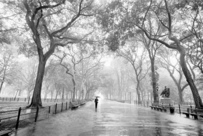 Poet's Walk art print by Henri Silberman