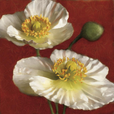 Poppy Elegance I