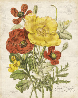 August Poppy art print by Katie Pertiet