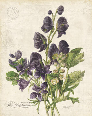July Delphinium art print by Katie Pertiet