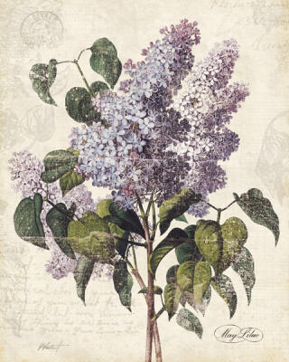 May Lilac art print by Katie Pertiet