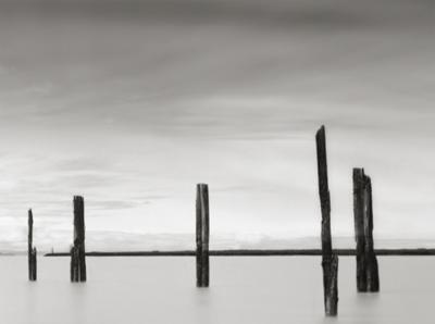 Cluster of Posts I art print by Lawrence Hislop