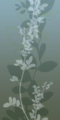 Ascending Vine II art print by Loka