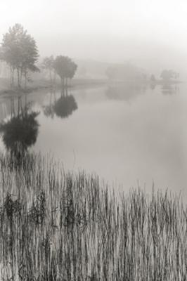 Lakeside Mist art print by Monte Nagler