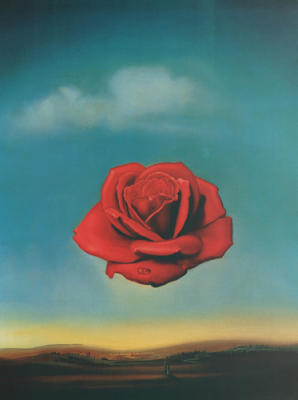 The Meditative Rose art print by Salvador Dali