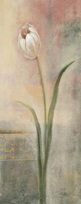 Elegant Tulip art print by Silvia Vassileva