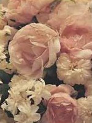 Roses for Sophie IV art print by Thea Schrack