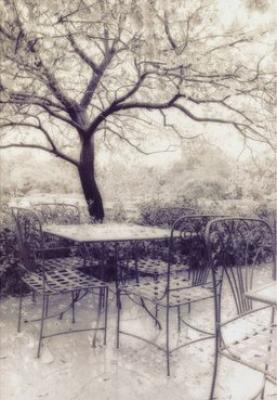 Southern Charm II art print by Thea Schrack