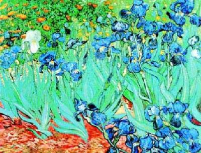 Irises art print by Vincent Van Gogh