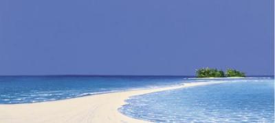 Island in the Sun III art print by Werner Eick