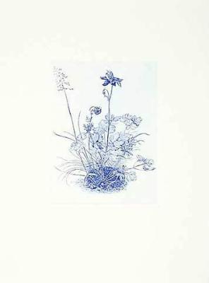Akelei, blau art print by Albrecht Durer