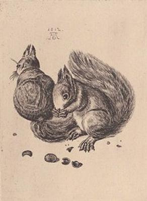Eichh�rnchen (etching) art print by Albrecht Durer