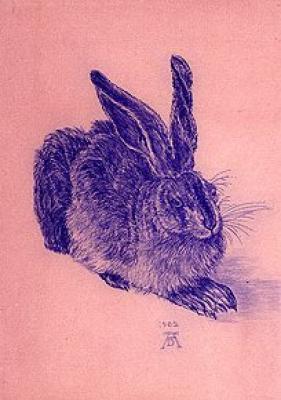 Hase Blau - Altrosa art print by Albrecht Durer