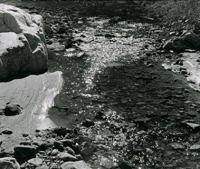 Deep Canyon Stream
