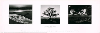 Trilogy art print by Ansel Adams
