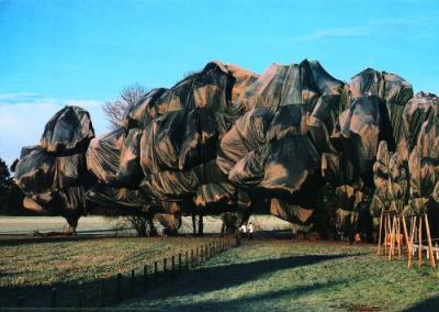 Wrapped Trees Nr. 13 (Riehen) art print by Christo