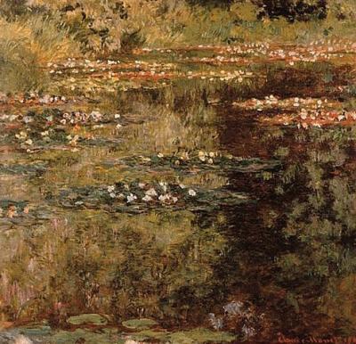 Pool with waterlilies