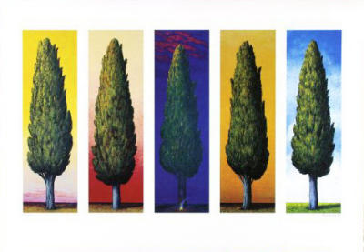 5 Zypressen (1999) art print by Folkert Rasch