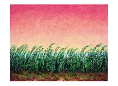 Schilfgras (2001) art print by Folkert Rasch
