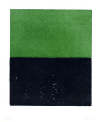 Ohne Titel Schwarz-Gr�n (2000) art print by G�nther F�rg