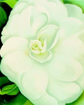 White Camelia art print by Georgia O'Keeffe