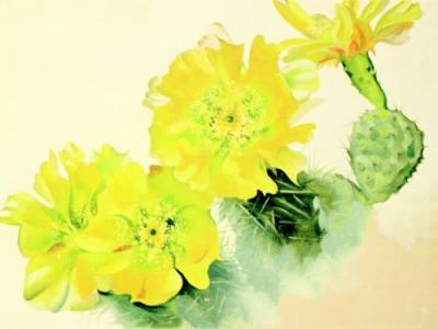 Yellow Cactus art print by Georgia O'Keeffe