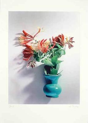 Geissblatt Vase art print by Gerhard Treichel