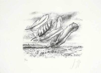 Alle meine Federn (Moner Tagebuch) art print by Guenter Grass