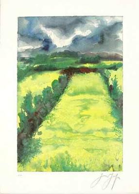 Rapsfeld in Bl�te art print by Guenter Grass
