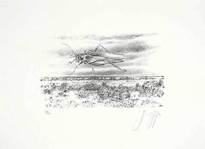 So hoch springen sie (Moner Tagebuch) art print by Guenter Grass