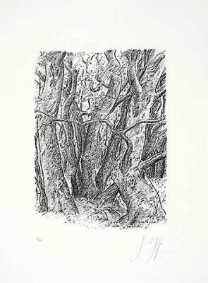 Zwischen den Buchen (Moner Tagebuch) art print by Guenter Grass