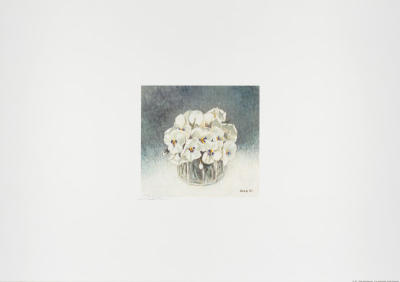 Wei�e Stiefm�tterchen art print by Heide Dahl