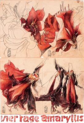 4 Tage Amaryllis art print by Horst Janssen