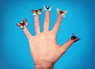 Some Butterflies, 1975 art print by Jack Goldstein