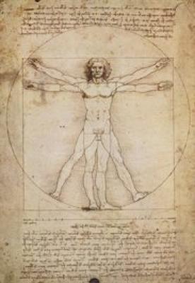 Schema Delle Proporzioni art print by Leonardo da Vinci