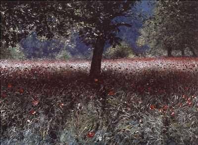 Frischer Mohn art print by Lutz M�nzfeld