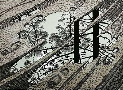 Pf�tze art print by M.C. Escher