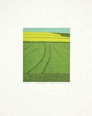 Rapsfeld art print by Michael Rausch