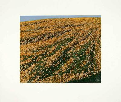 Wiese art print by Michael Rausch